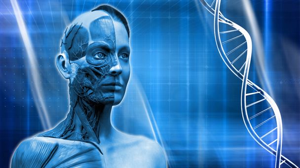 Kadın modeli ve DNA insan anatomisi ile mavi tıbbi arka plan  - Fotoğraf, Görsel