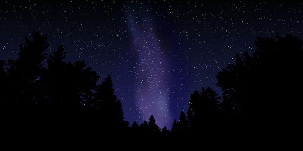 Ночное небо со звездами и молочным способом.
 - Вектор,изображение