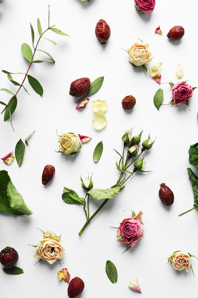 Dried roses on white  - Valokuva, kuva