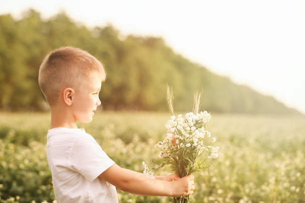 Happy little boy with flowers - Foto, immagini