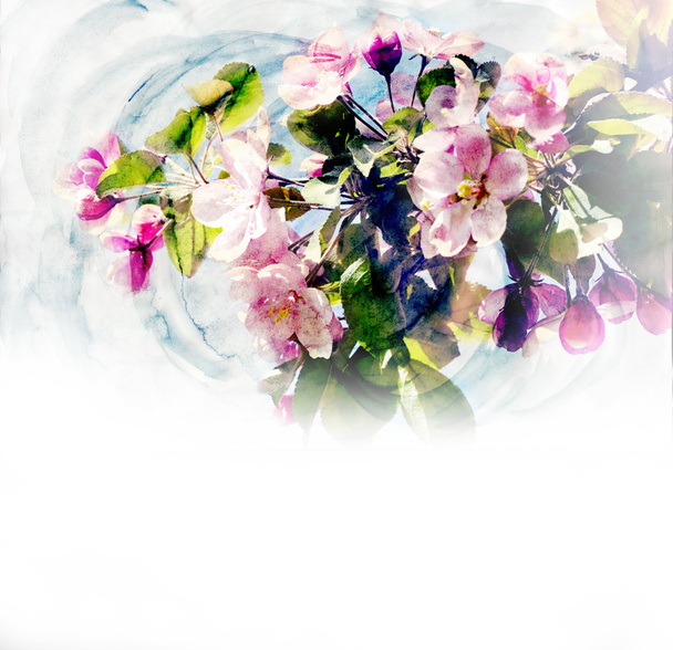 Alberi di primavera fiore acquerello illustrazione
 - Foto, immagini