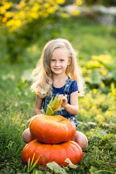 Little girl with pumpkins - Foto, Bild