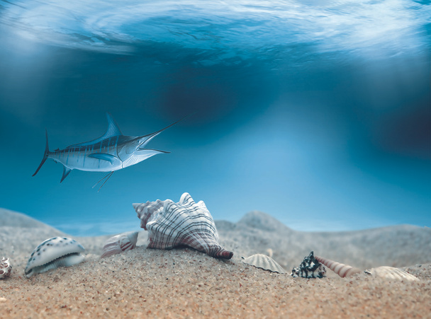 Marlin w głębokiej wodzie - Zdjęcie, obraz