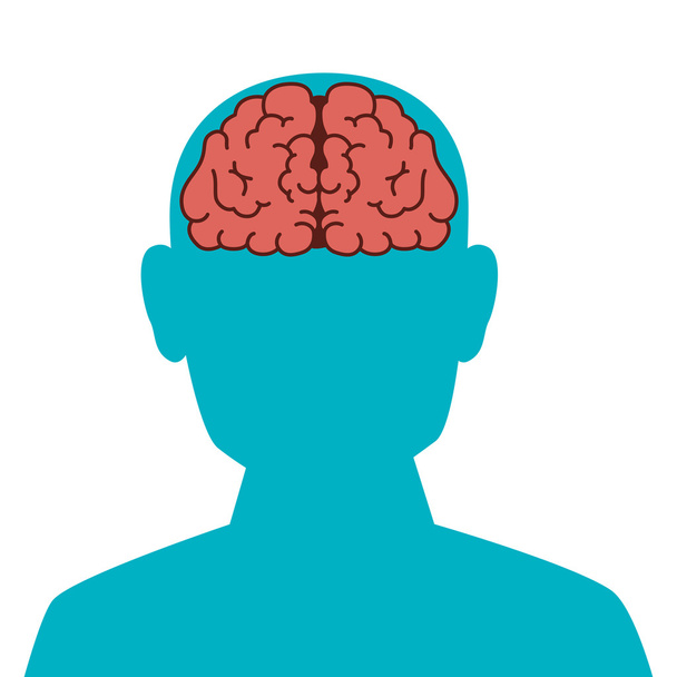 face brain organ human - Vector, Image