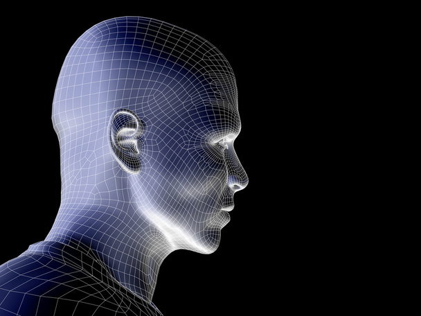 wireframe cabeça masculina humana
  - Foto, Imagem