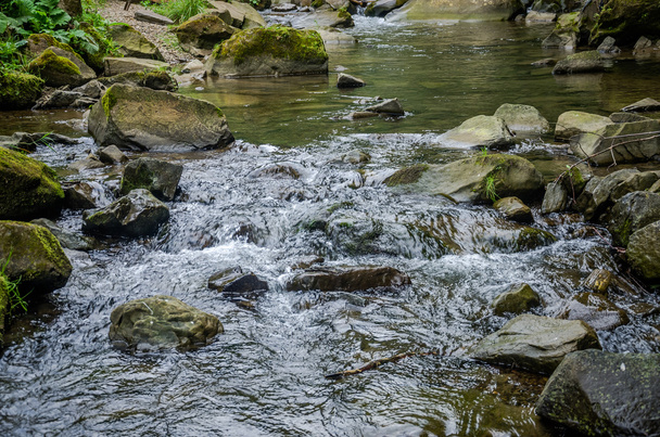 Mountain river with waterfall and rocks at national park in the Skole Beskids near Lviv - Photo, Image