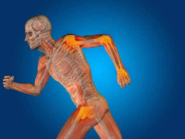 kavramsal insan anatomisi - Fotoğraf, Görsel