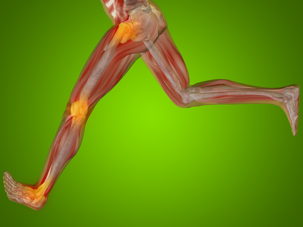 human  anatomy, joints pain - Photo, Image