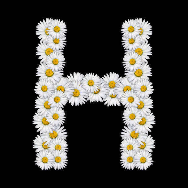 Floral letter - Photo, Image