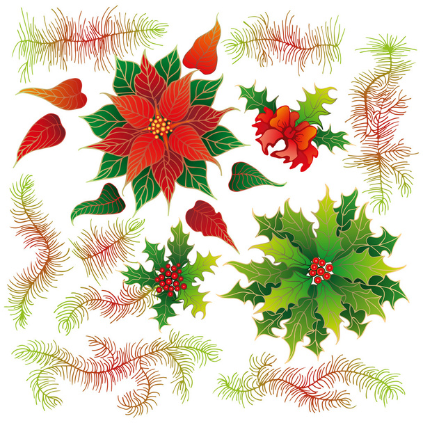 Christmas set of plants with flowers - Vector, Image
