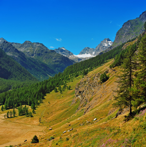 Долина у національному парку Гран Paradiso - Фото, зображення