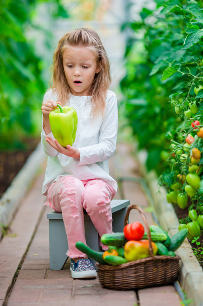 Девочка собирает огурцы и помидоры в теплице. Портрет ребенка с большим сладким зеленым пепепером в руках. Время собирать урожай
. - Фото, изображение