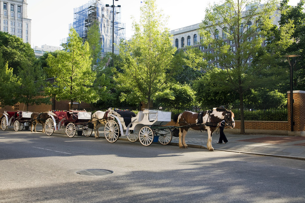 carruagens puxadas a cavalo
 - Foto, Imagem