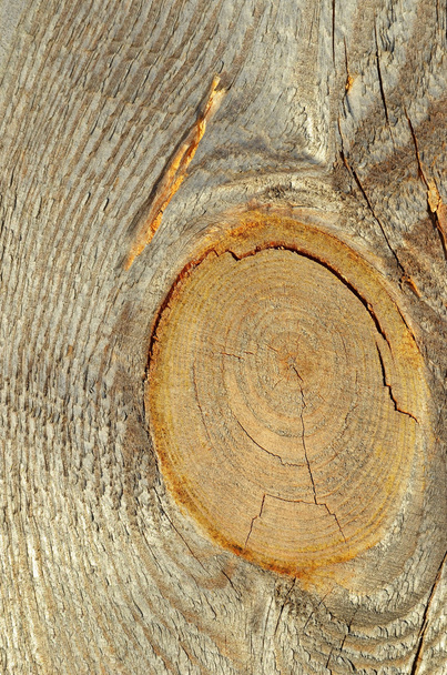 Wooden textured background - Photo, Image