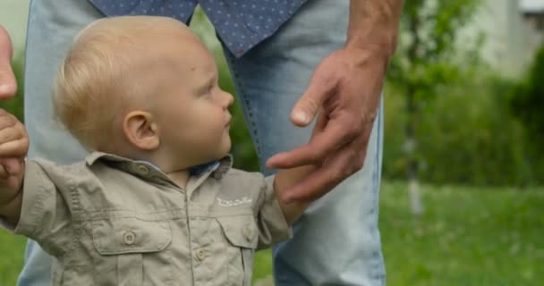 Careful father holding hands of his cute son making first steps at nature - Footage, Video