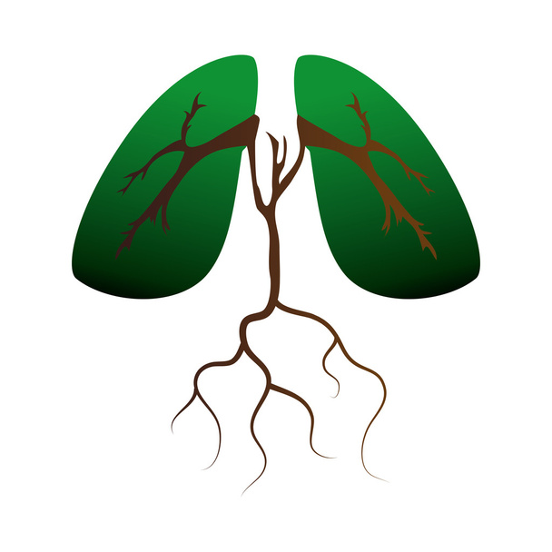 keuhkojen ekologian elin
 - Vektori, kuva