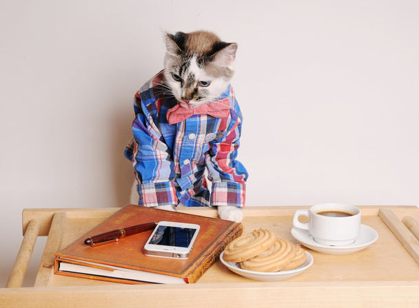 Cat in a shirt and bow tie drinking coffee at work - Photo, Image