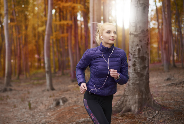 молодая спортивная женщина бегает в лесу
   - Фото, изображение