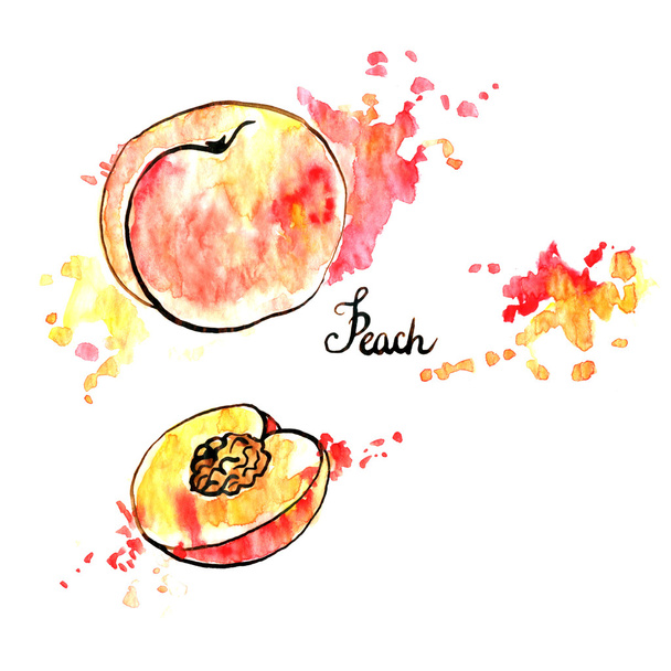 hand drawn peach - Photo, Image