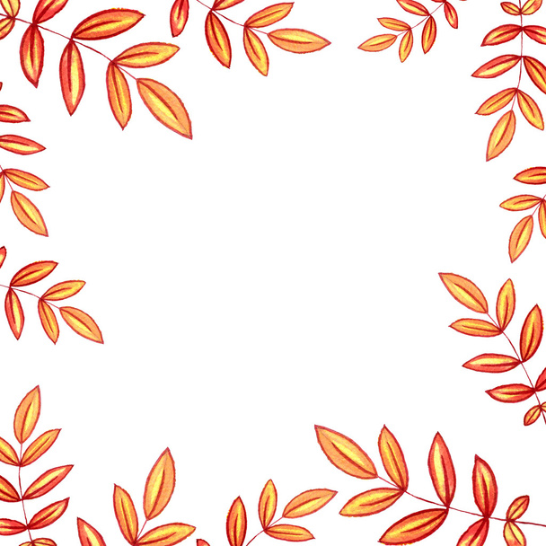 background with autumn leaves - Valokuva, kuva