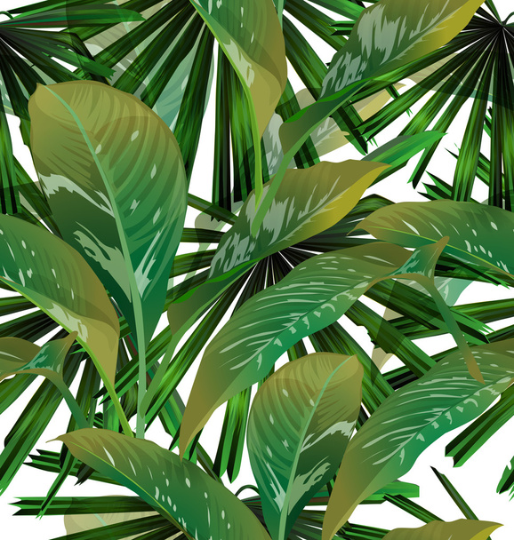 tropické listy pozadí - Vektor, obrázek