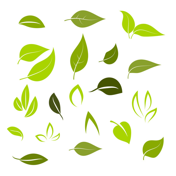 Leaf icon set vector - Vetor, Imagem