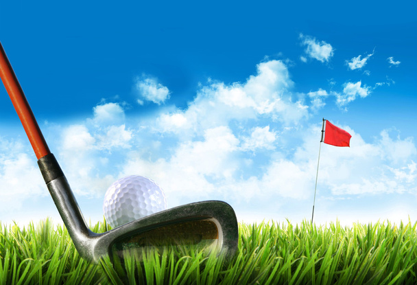 Bola de golfe com T na grama
 - Foto, Imagem