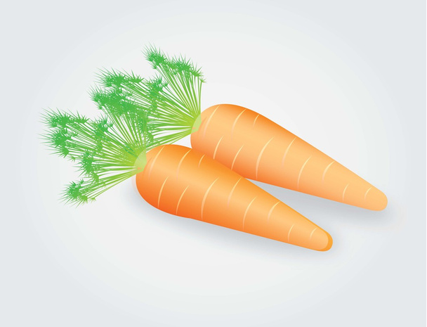 porkkana - Vektori, kuva