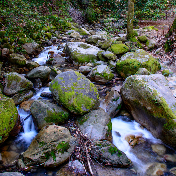 Long Exposure River ja Green Moss Stone metsässä
 - Valokuva, kuva