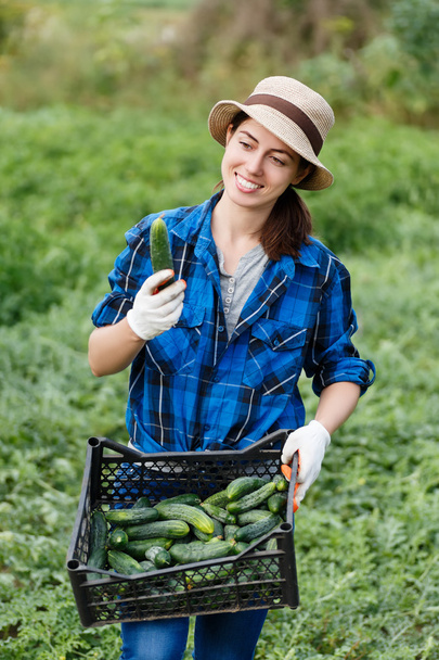 woman farmer with box of harvested cucumbers - Foto, Bild