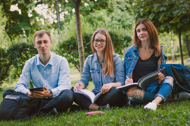 onnellinen opiskelijat istuvat nurmikolla puistossa oppimateriaalit ja
  - Valokuva, kuva