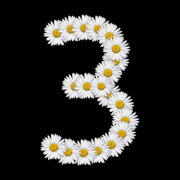 Flower number - Fotoğraf, Görsel
