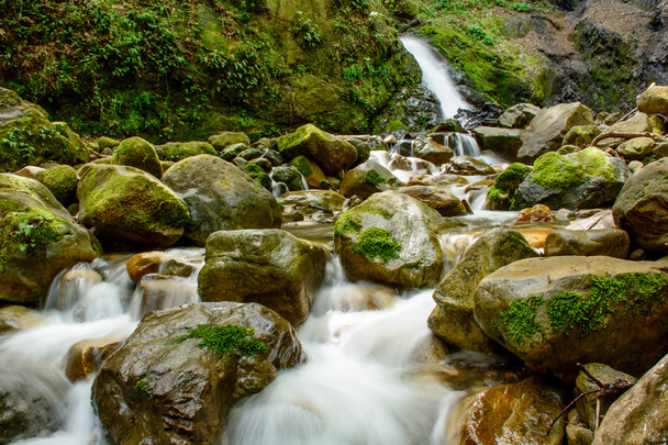 Vonzó vízesés és zöld mohás kő-erdő - Fotó, kép