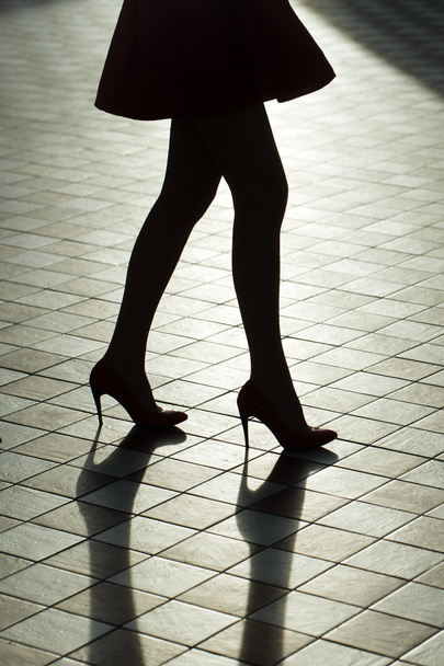 Female legs in shoes - Φωτογραφία, εικόνα