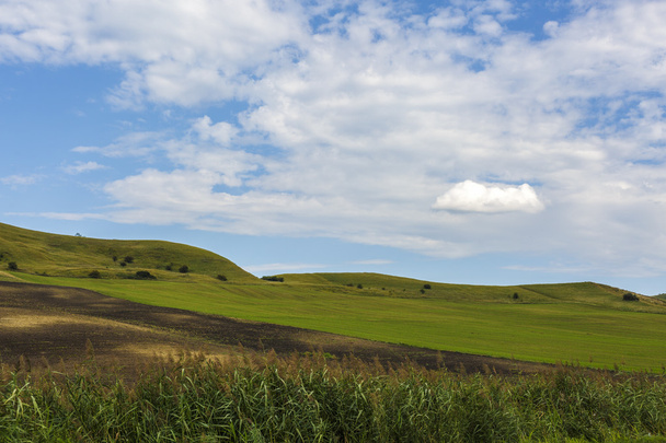 schöne Landschaft mit Gras auf einem Hügel - Foto, Bild