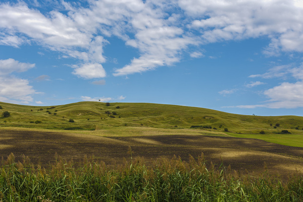beautiful landscape with grass on a hill - Photo, Image
