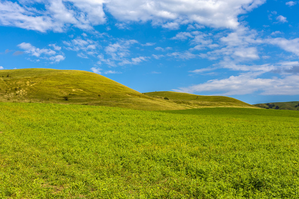 piękny krajobraz z trawy na wzgórzu - Zdjęcie, obraz
