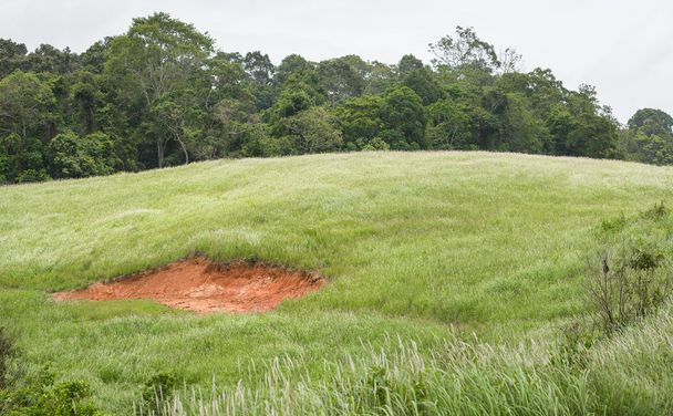 Почвенное болото на холме
 - Фото, изображение