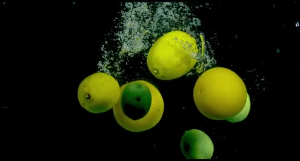 Citrus fruit in water on a black background - Materiał filmowy, wideo