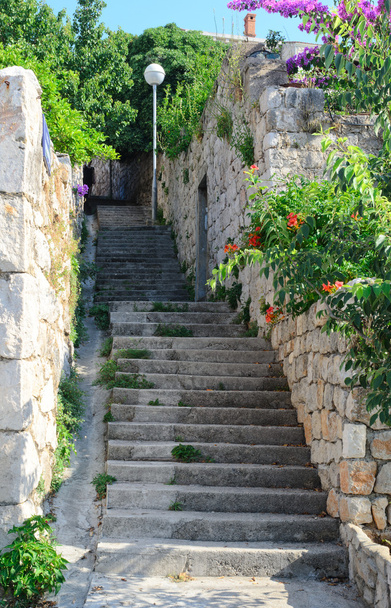 Narrow old street in Dubrovnik, Croatia - Foto, Bild