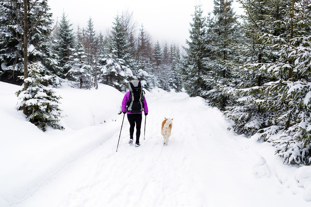Happy woman walking in winter forest with dog - Foto, Bild