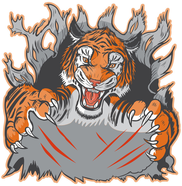 Tiger Mascot repimässä tausta ja kynsiä vektori malli
 - Vektori, kuva