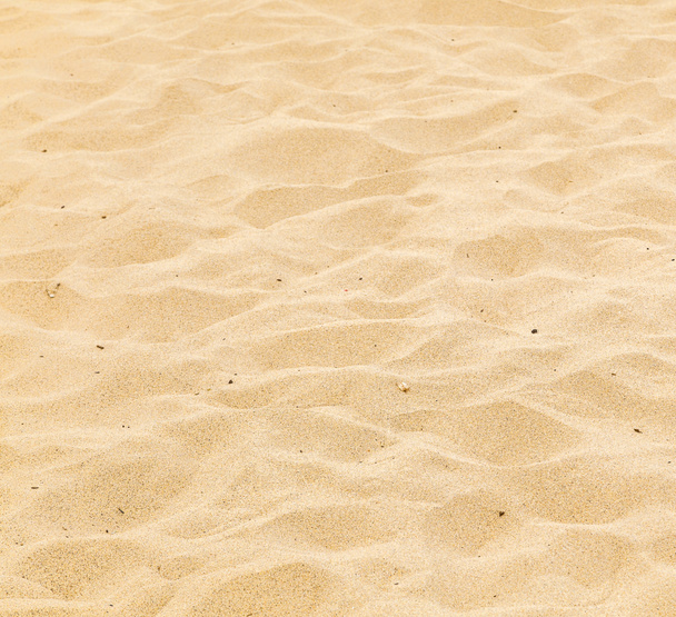 Pattern of sandy beach in the morning - Zdjęcie, obraz