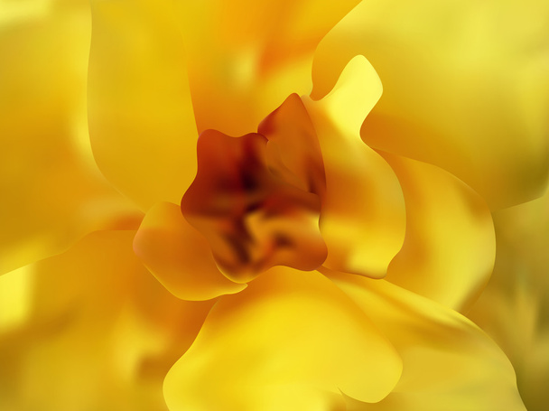 Beautiful rose close up - Vettoriali, immagini