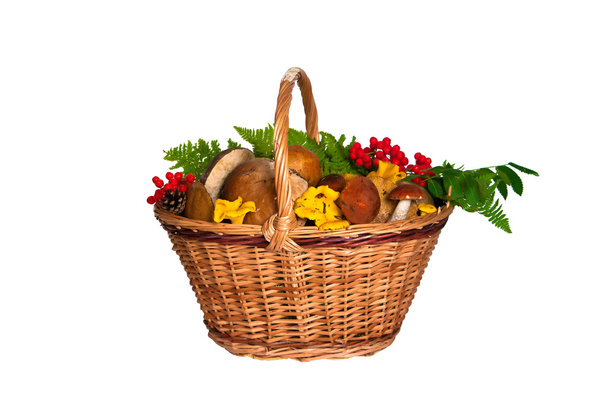 Basket with mushrooms - Фото, зображення