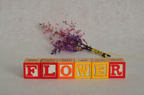 La palabra flor deletreada con bloques coloridos del alfabeto
  - Foto, imagen