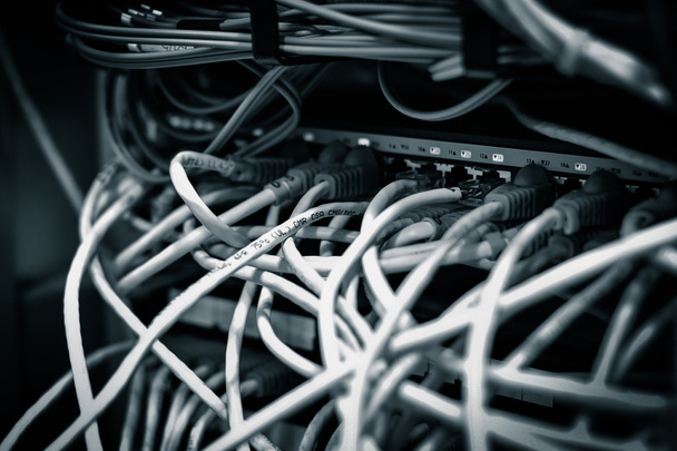 Sieć kabel danych  - Zdjęcie, obraz