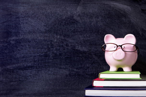 Свинка в очках и доске
 - Фото, изображение