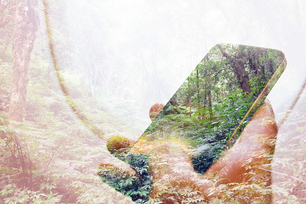 Цифровий композит з використанням мобільного телефону в лісі
 - Фото, зображення