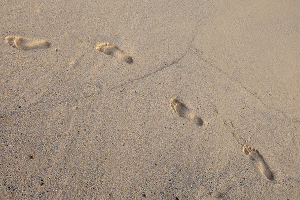 Footprints in sand on a beach - Zdjęcie, obraz